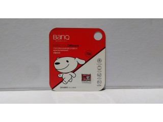 Banq 256Go Carte Mémoire micro SD pour Téléphone, Appareil photo, Lecteur MP3